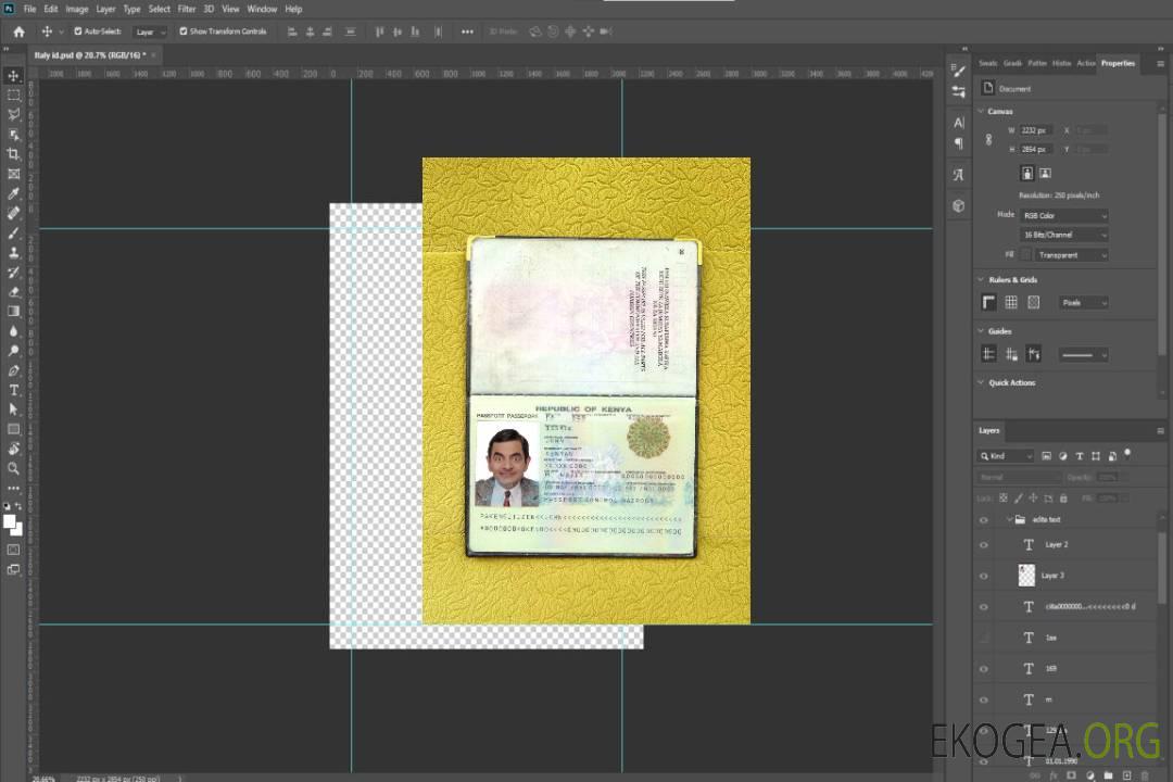 Aperçu photo du passeport kenyan (2011-2019) template